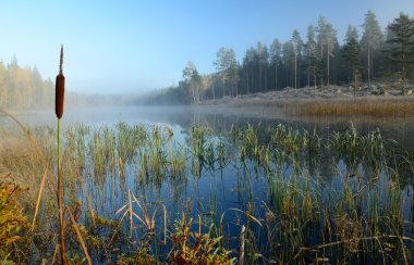 October's frosty lake clipart