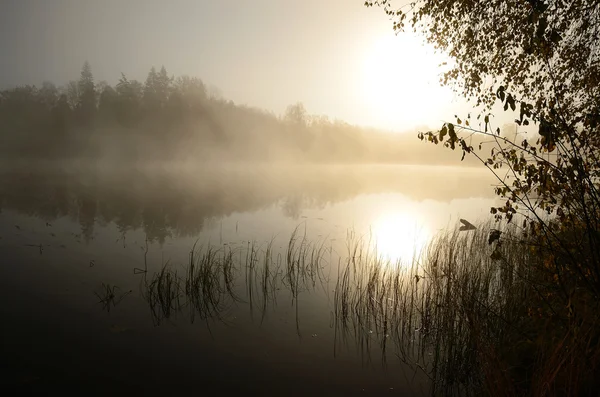 Ködös tó — Stock Fotó