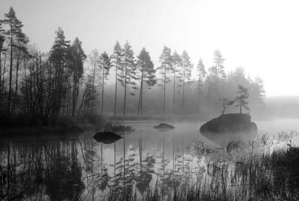 Mlha monochromatické krajiny — Stock fotografie