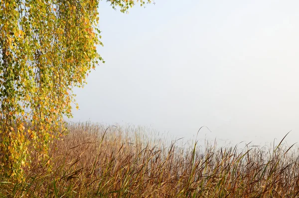 Autumn'un Gölü çerçeve — Stok fotoğraf