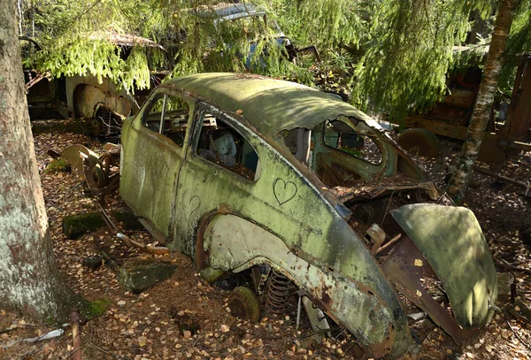 Αναπολώ αυτοκίνητο στο δάσος — Φωτογραφία Αρχείου