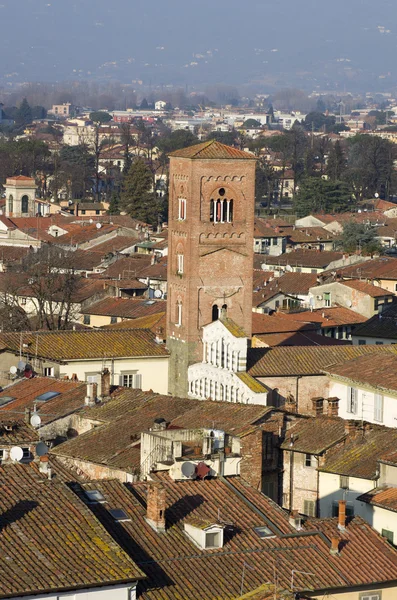 stock image Lucca