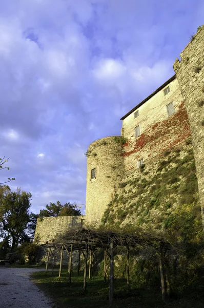 Középkori vár — Stock Fotó