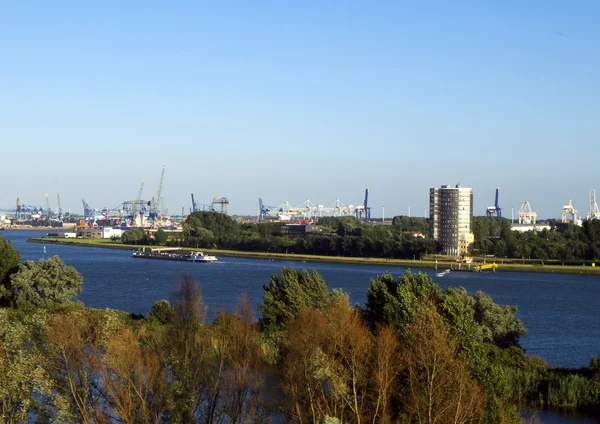 Rotterdam — Stockfoto