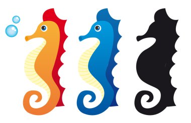 sea horse clipart