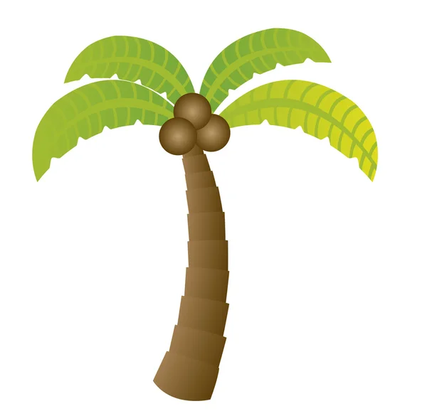 Palm kreslený — Stockový vektor