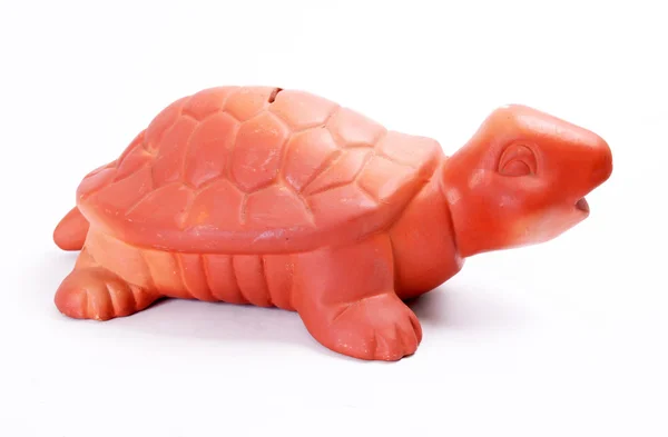 Turtle piggyželva prasátko — Stock fotografie