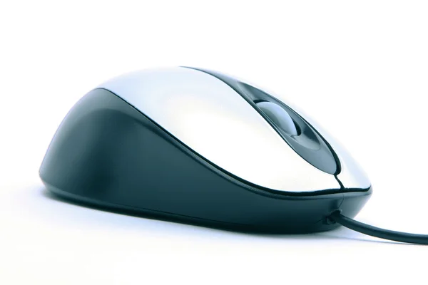 Мышь компьютер — стоковое фото