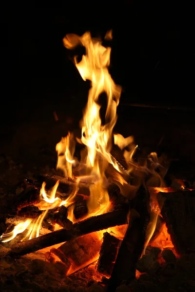 Fuego de campamento — Foto de Stock