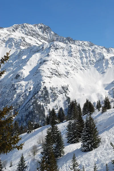 Kış Alps — Stok fotoğraf