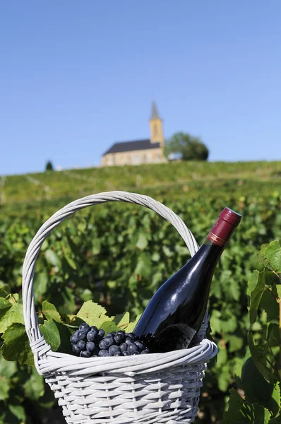 Пляшка червоного вина в сільській місцевості — стокове фото