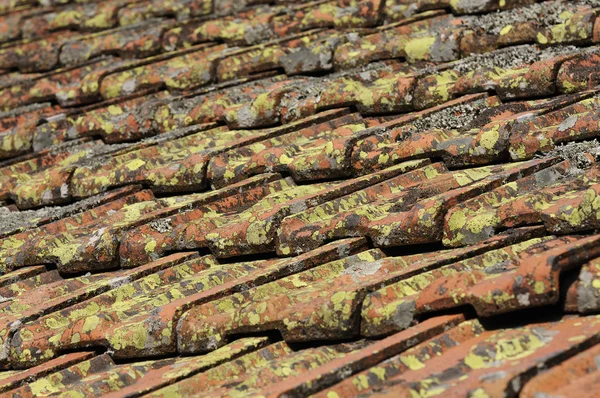 stock image Background perspective of red roof