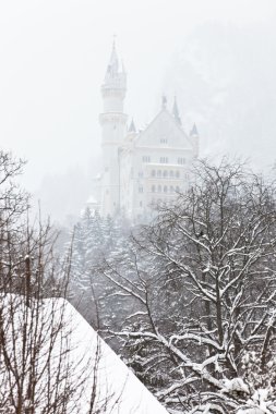 Neuschwanstein Castle clipart