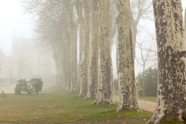 一个国家法国木屋在有雾的日子 — 图库照片