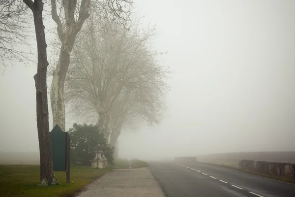 Eine Landstraße an einem nebligen Tag in Frankreich — Stockfoto