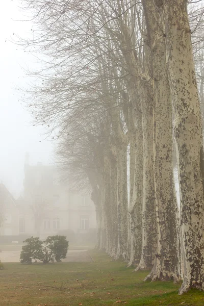 País chalet francés en un día de niebla — Foto de Stock