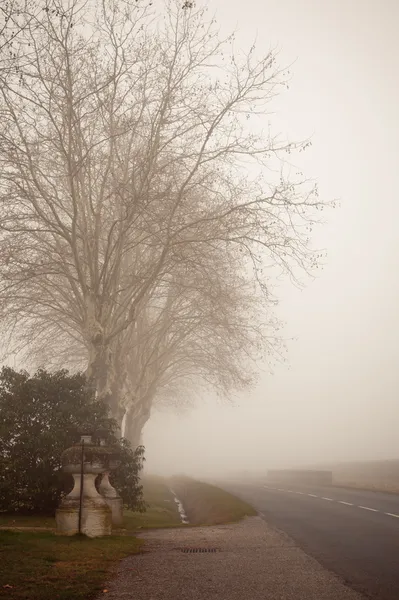 Misty Landscape - II — Stock Photo, Image