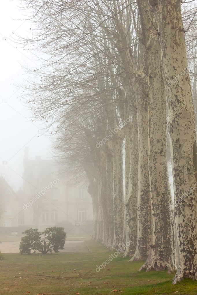 Country French chalet on a foggy day