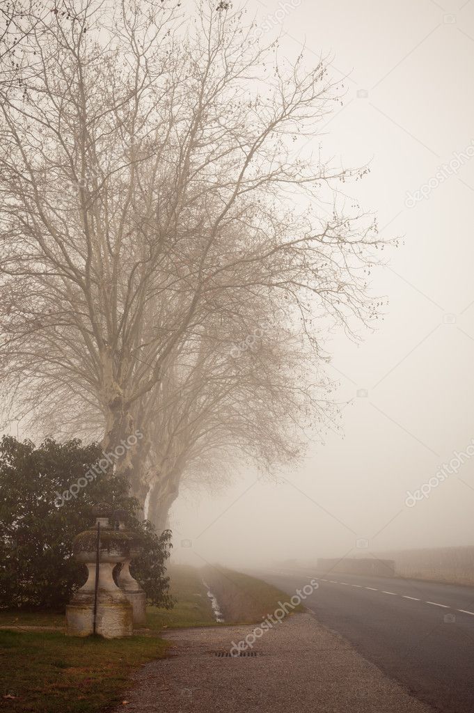 Misty Landscape - II