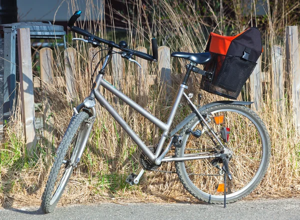 Bicicleta con cesta — Foto de Stock