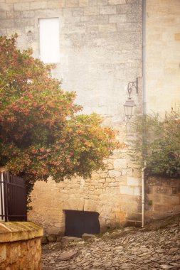 Saint-Emilion in mist clipart