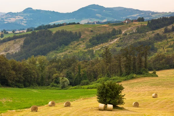 イタリアの田舎 — ストック写真