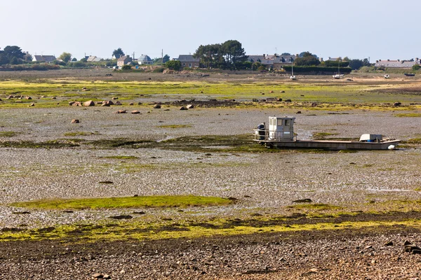 Ebb Landscape in Western Brittany — Stock Photo, Image