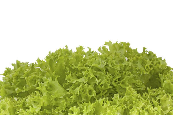 Grön sallad — Stockfoto