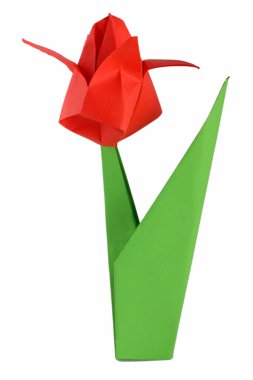 Origami tulip clipart