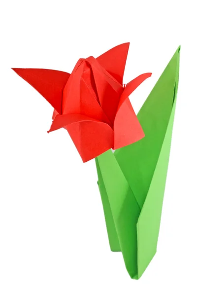 Origami tulip — Stock Photo, Image