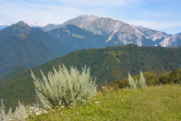 阿尔卑斯山的美丽 landcape — 图库照片