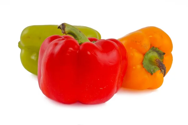 Πιπεριές πολύχρωμες — Φωτογραφία Αρχείου