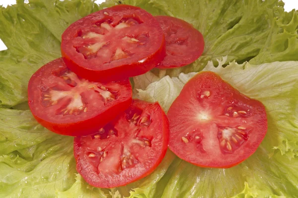Tomates y lechugas aislados — Foto de Stock