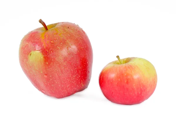 Stock image Fresh apples isolated