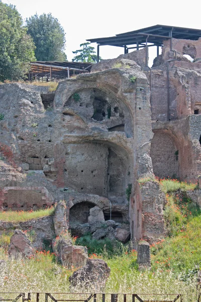 Det romerska forumet — Stockfoto