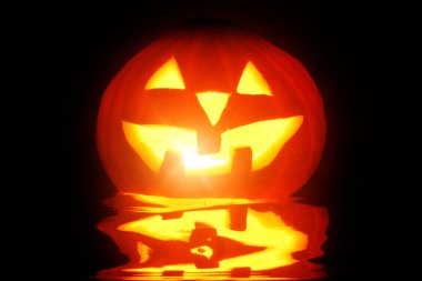 Halloween pumpkin isolated clipart