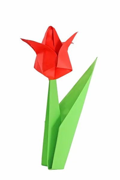 Origami tulip — Stock Photo, Image