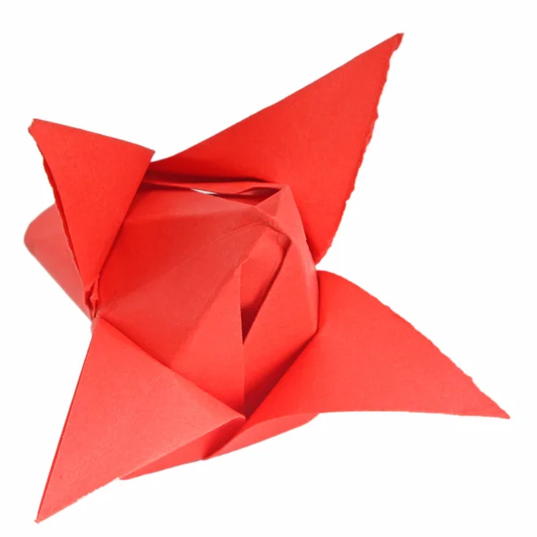 Origami tulip — Stockfoto