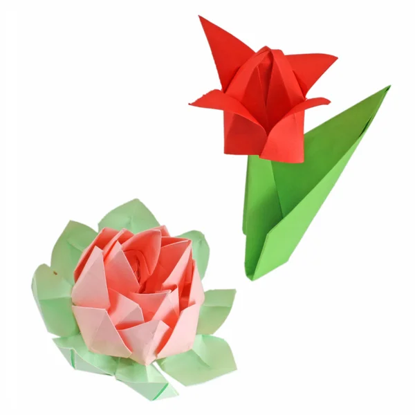 Dane różnych origami — Zdjęcie stockowe