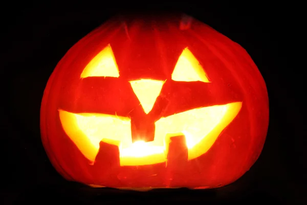 Halloween pumpkin isolated — Stock Photo, Image