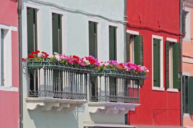 Burano (Venedik Adası)