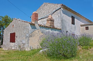 küçük kasaba motovun