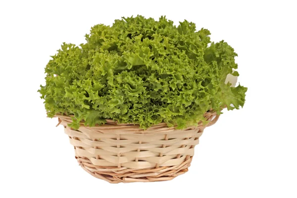 stock image Fresh green lettuce isolated