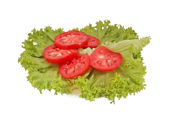 Tomaten und Salat isoliert — Stockfoto