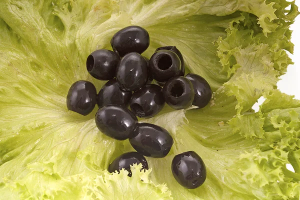 Oliven und Salat — Stockfoto