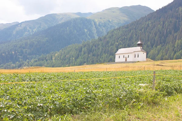 Bella chiesa nel paesaggio alpino — Foto Stock