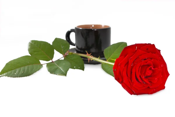Kahve fincanı ve kırmızı gül — Stok fotoğraf