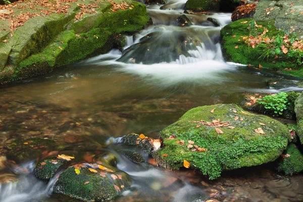 Höstens scen med forsande vattenfall — Stockfoto