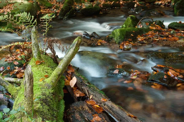 Herfst scène met trapsgewijze waterval — Stockfoto