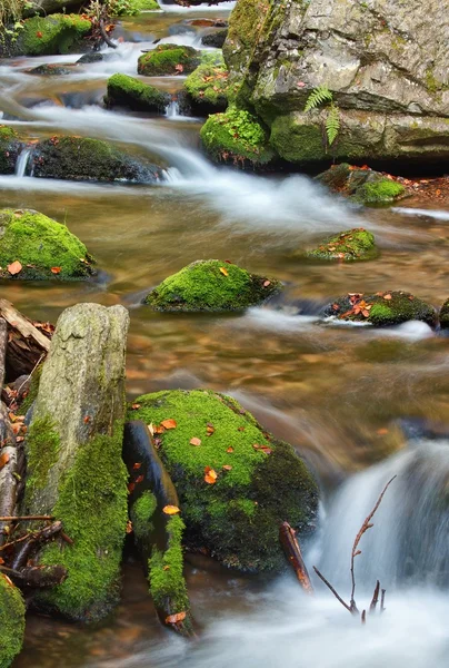 Höstens scen med forsande vattenfall — Stockfoto